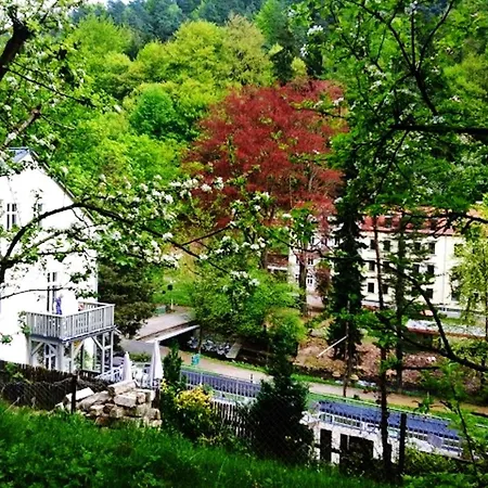 Cosy In - 50 M² With Internet * Bad Schandau