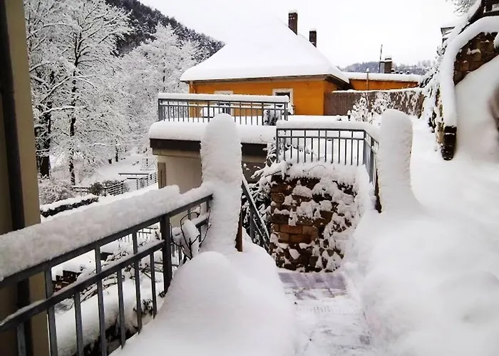 Cosy In - 50 M² With Internet דירה *