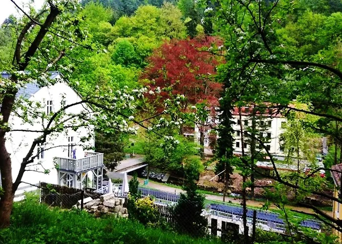 Cosy In - 50 M² With Internet * באד שאנדאו